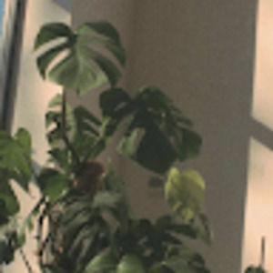 Meet your Posher, Elea